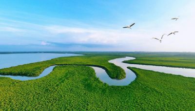 天蓝水碧入画来，争光绘就美丽中国生态底色